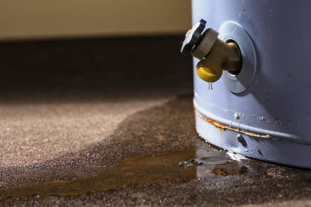Best Flood restoration services  in Hartville, OH