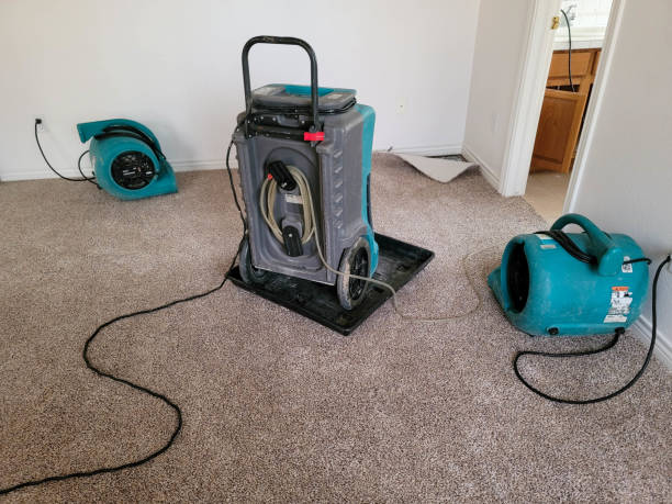 Best Professional water damage repair  in Hartville, OH
