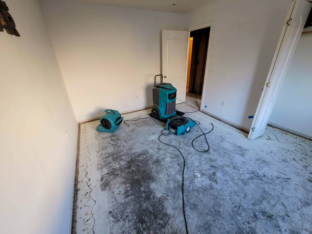 Trusted Hartville, OH Water damage restoration Experts